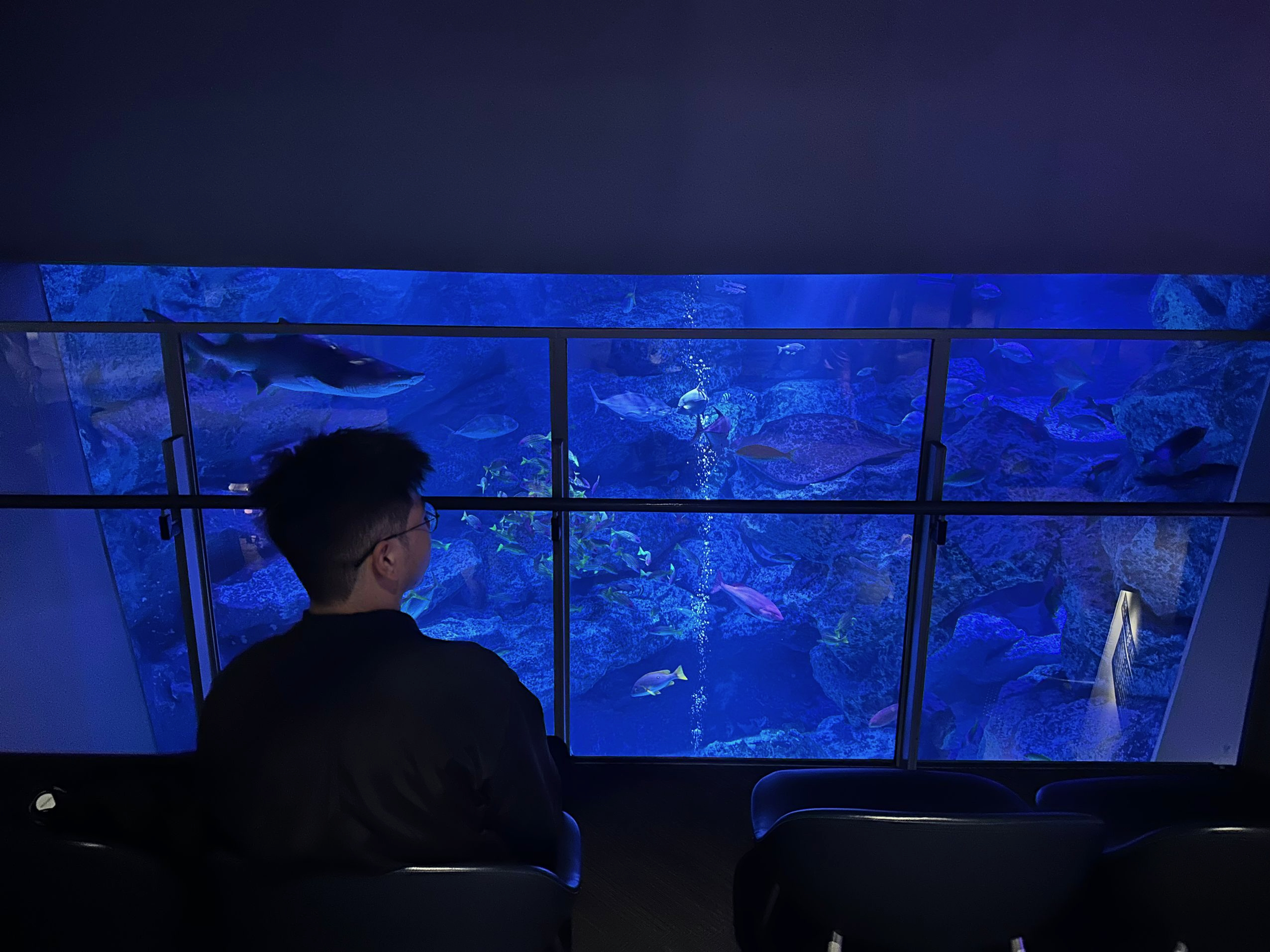 墨田水族馆