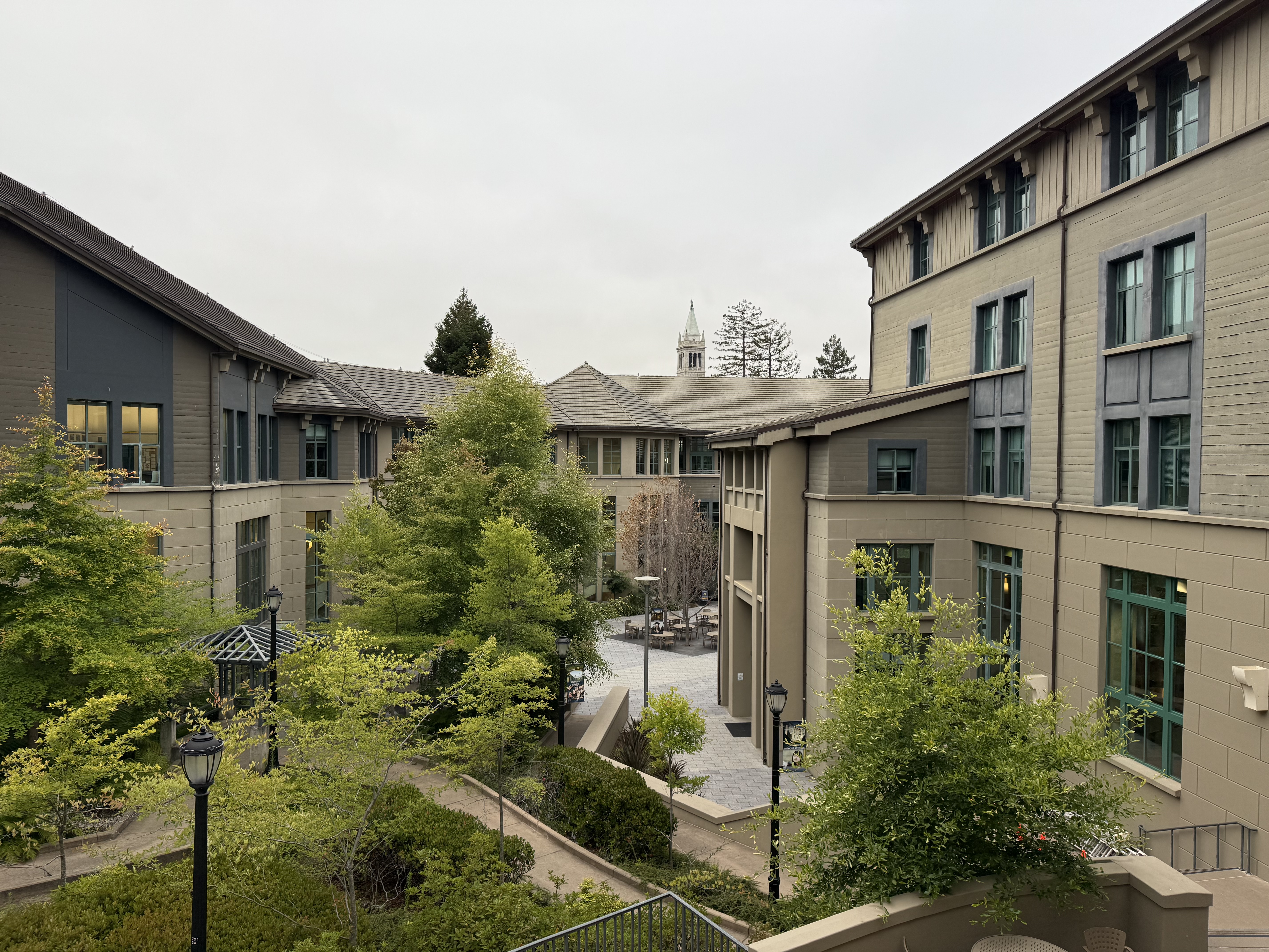 UC Berkeley·哈斯商学院