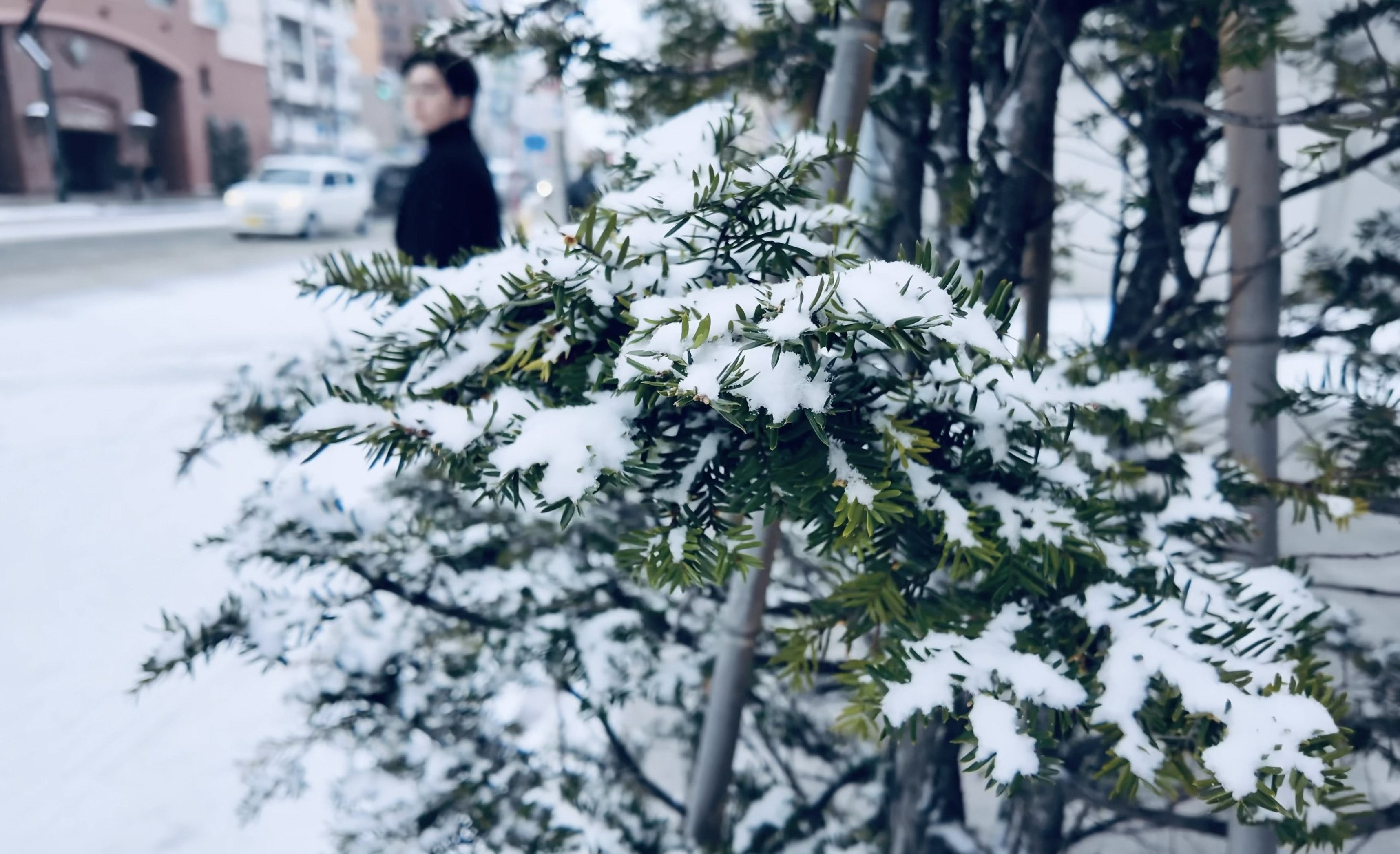 札幌2